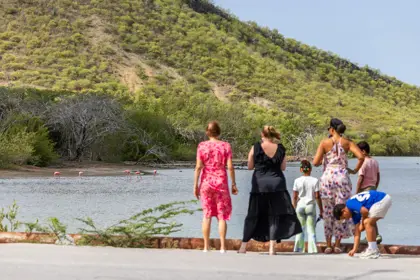 20250813©ingevanaltena_030