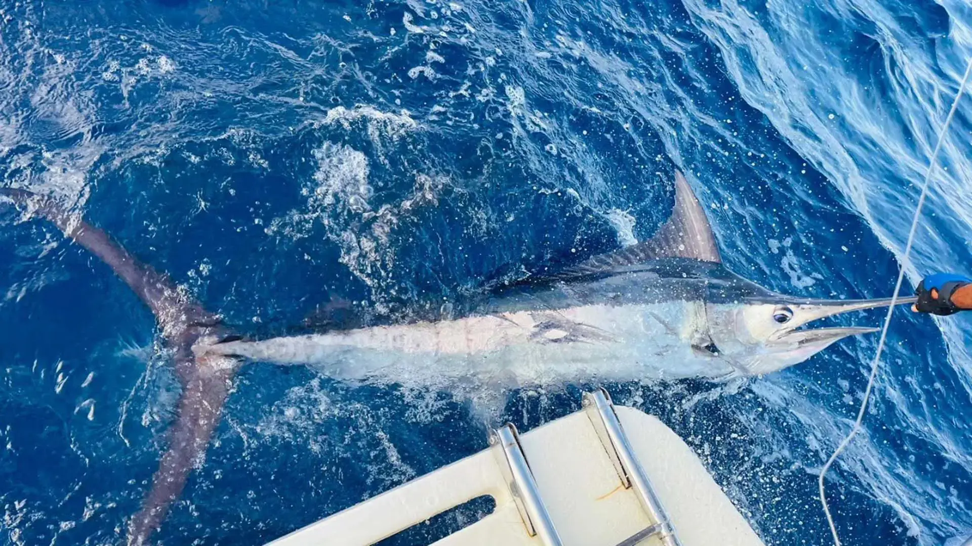 465927170_1176794417126928_4813508305048923124_n