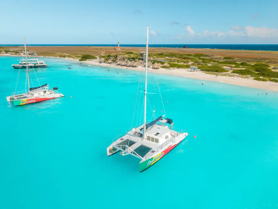 Bluefinn_Klein_Cura-014