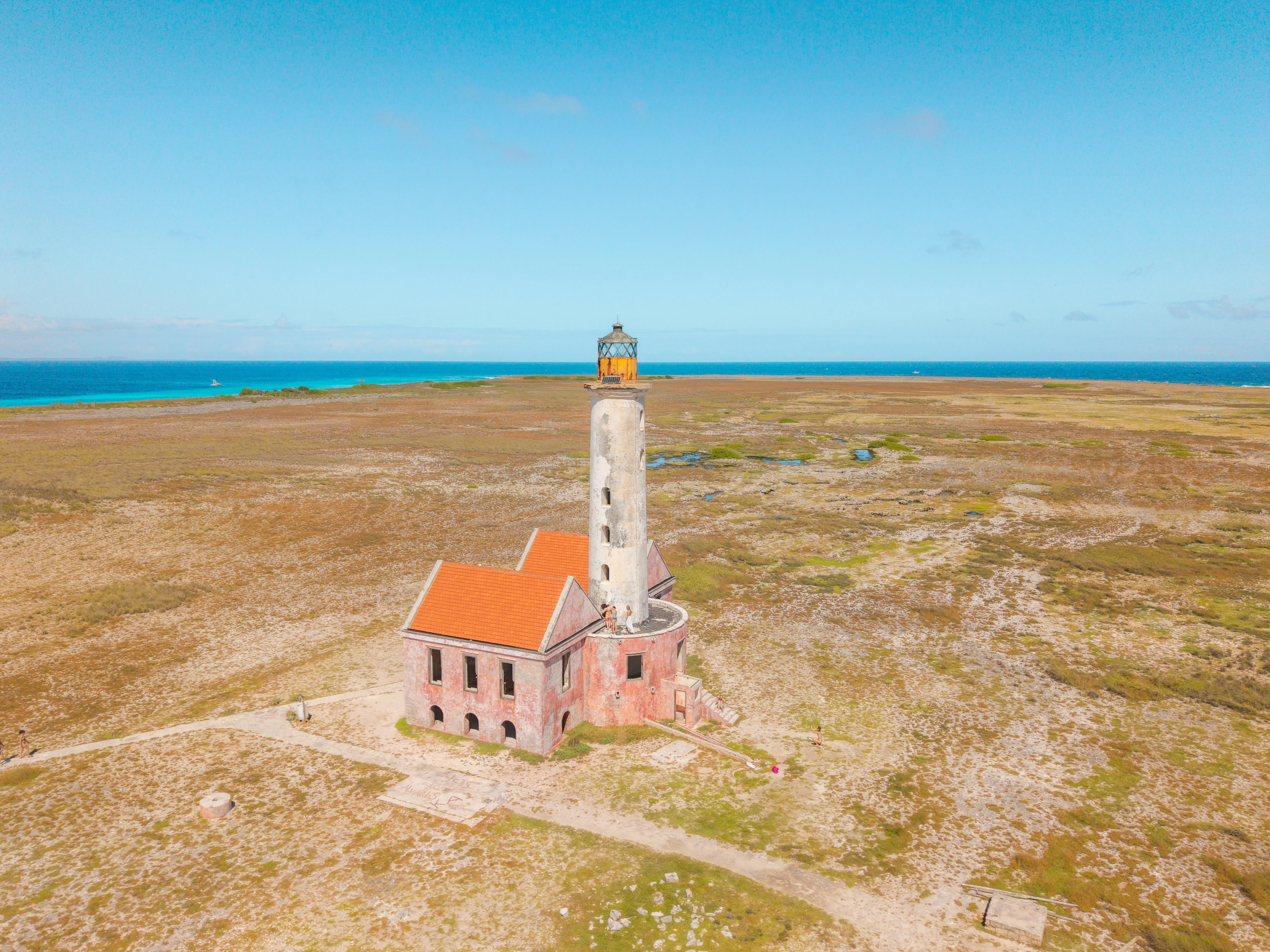 Bluefinn_Klein_Cura-023