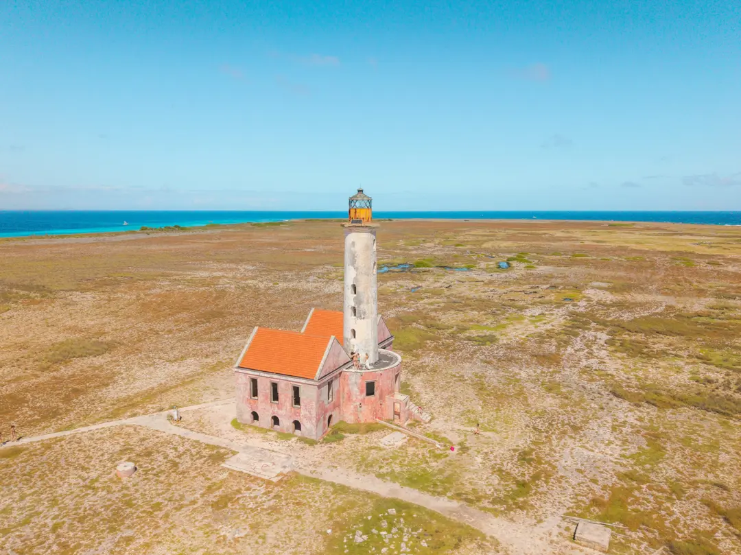 Bluefinn_Klein_Cura-023