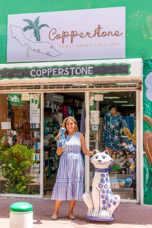 Dhan Arts & Copperstone