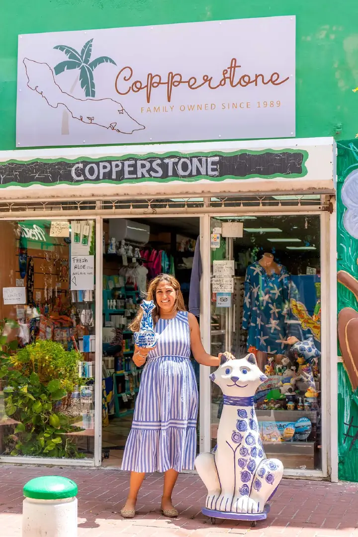 Dhan Arts & Copperstone