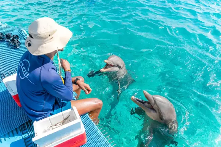 Dolphin-Academy-14