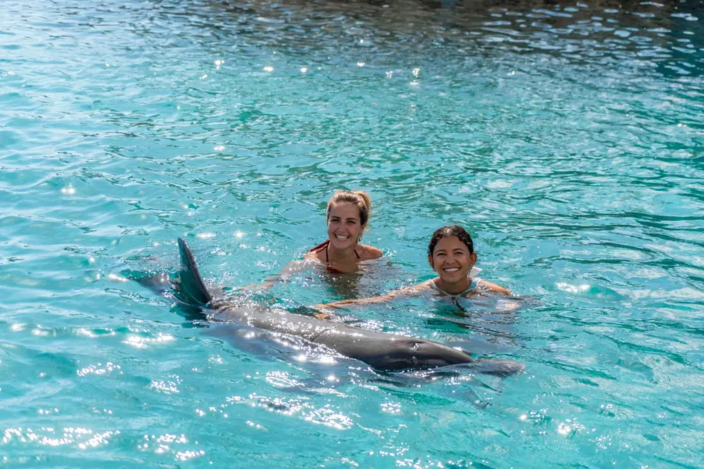 Dolphin-Academy-17