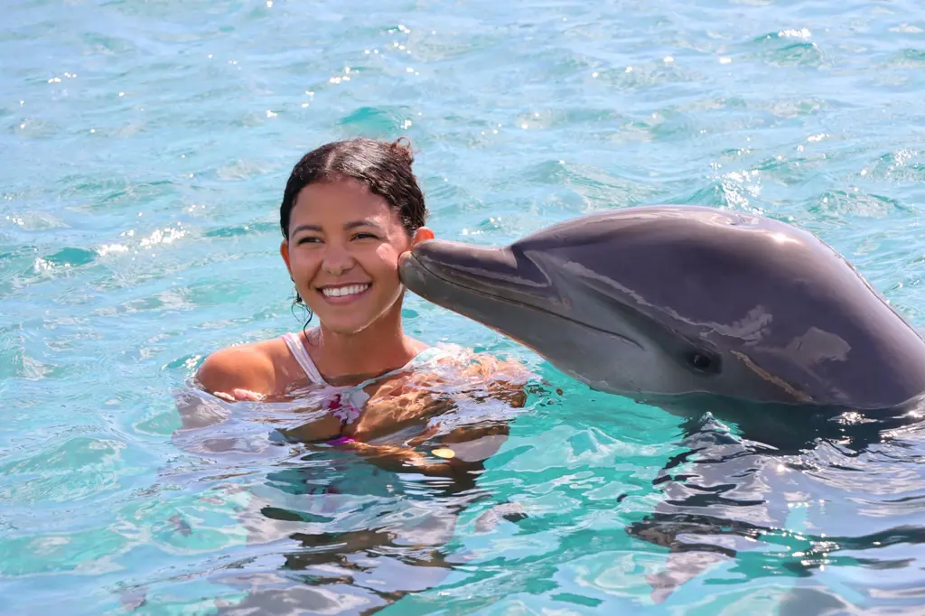Dolphin-Academy-28