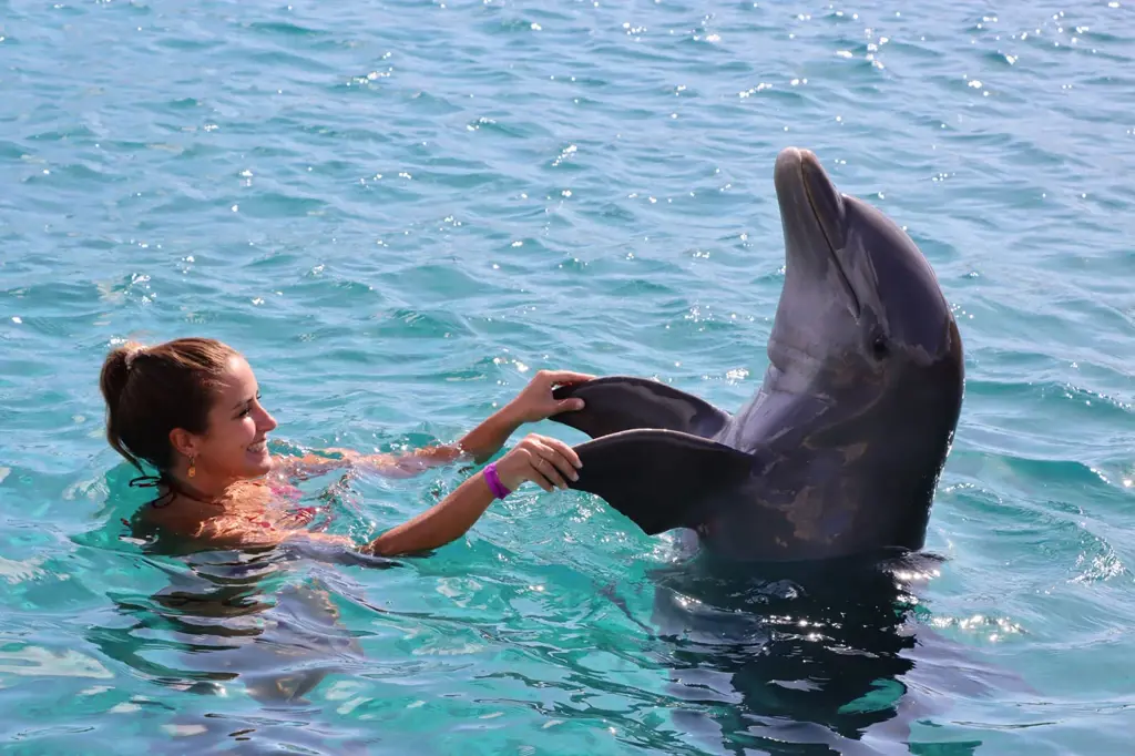 Dolphin-Academy-29