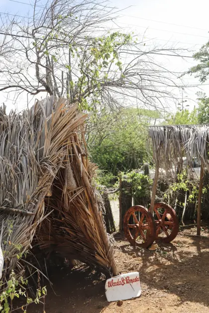 Kas_di_pal'i_maishi_4