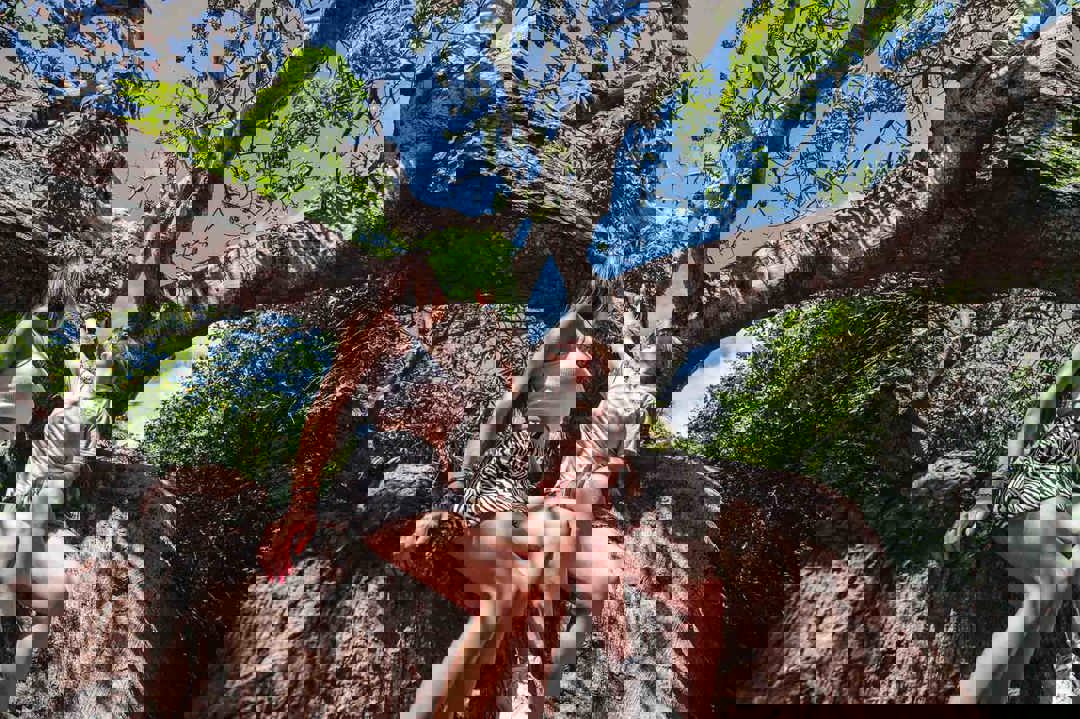 Kunuku-playa-kalki-irie-tours-3