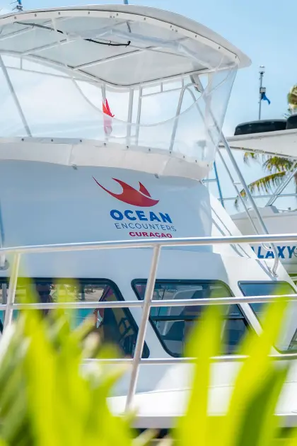 /Ocean-Encounters-02.jpg