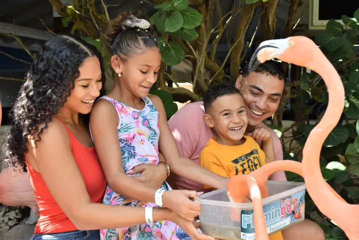 Qué hacer en Curacao con niños