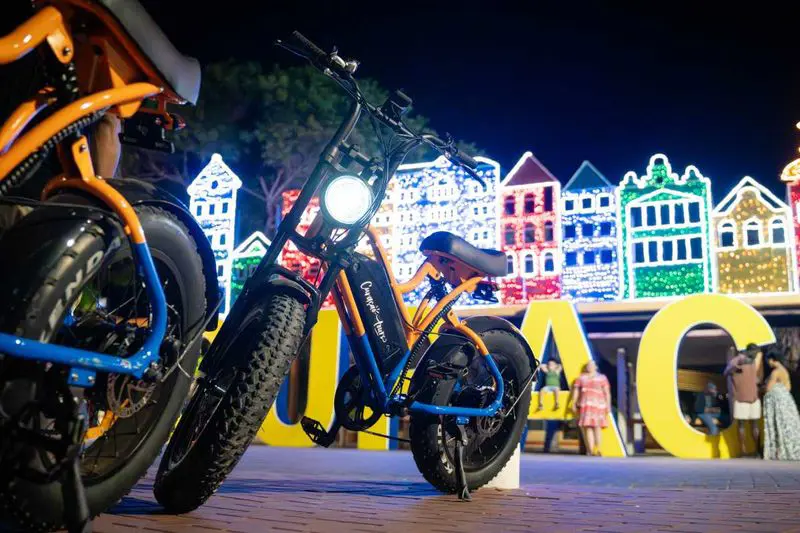 Punda_vibes_-_FBBT_6