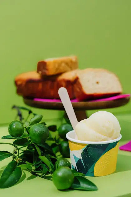 Treatery-5_kopie.jpg_verkleind