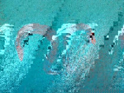 Tug_Boat_&_Spanish_Water_(1)_-_verkleind