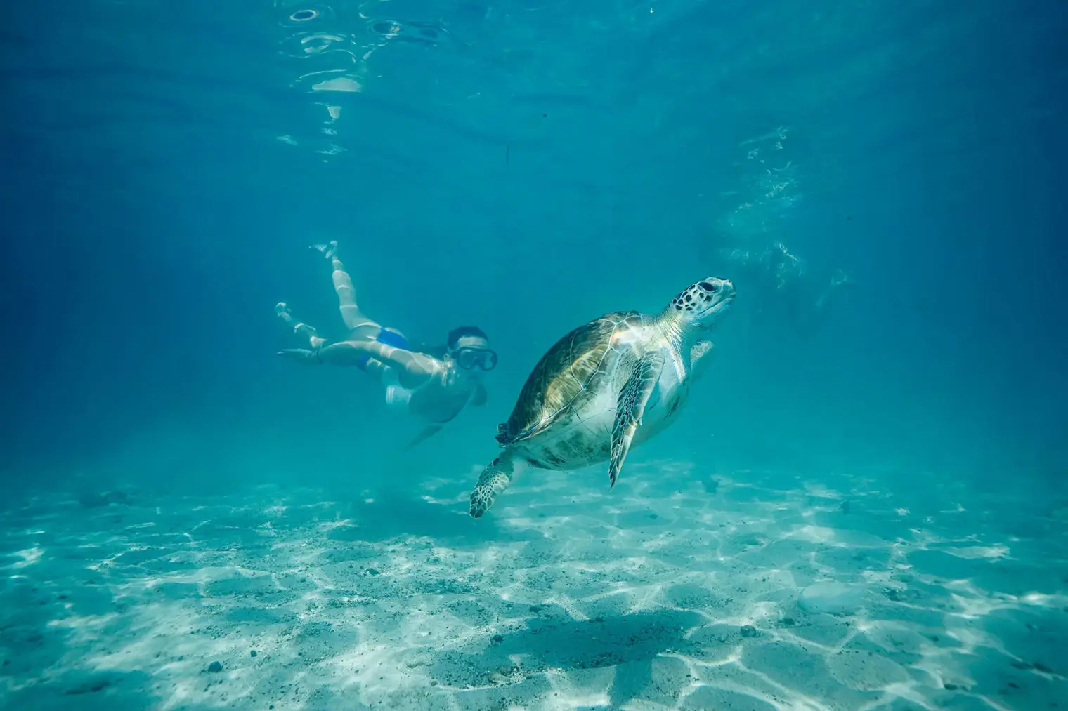 all-west-beach-irie-tours-11