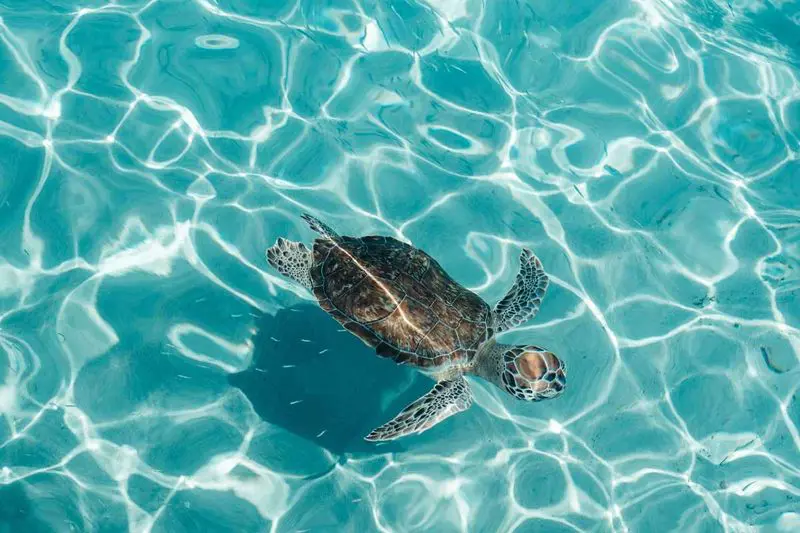 beach_escape_-_FBBT_2