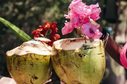 beach_escape_-_FBBT_4