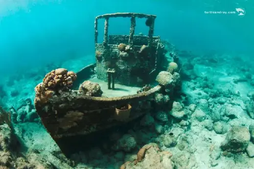 De beste snorkeltours Curacao
