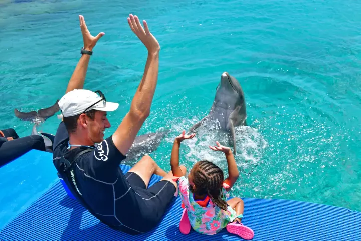 Picture_Nights2022_Genaration-kids-and-dolphins-3-scaled