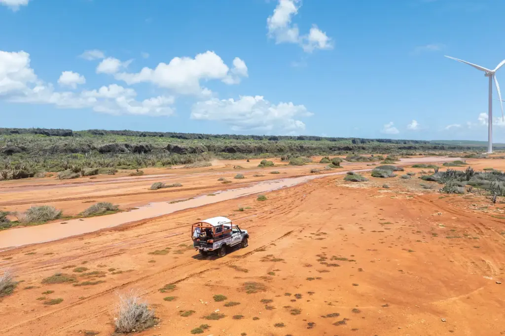 bluefinncharters-jeep-safari-tour-curacao-15-2