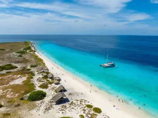 BlueFinn Charters