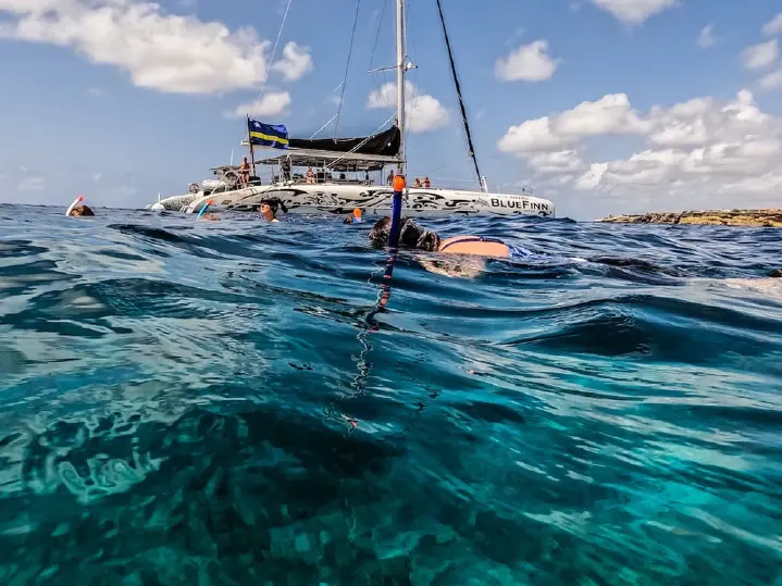 Blue_Finn_Snorkel_Trip_4