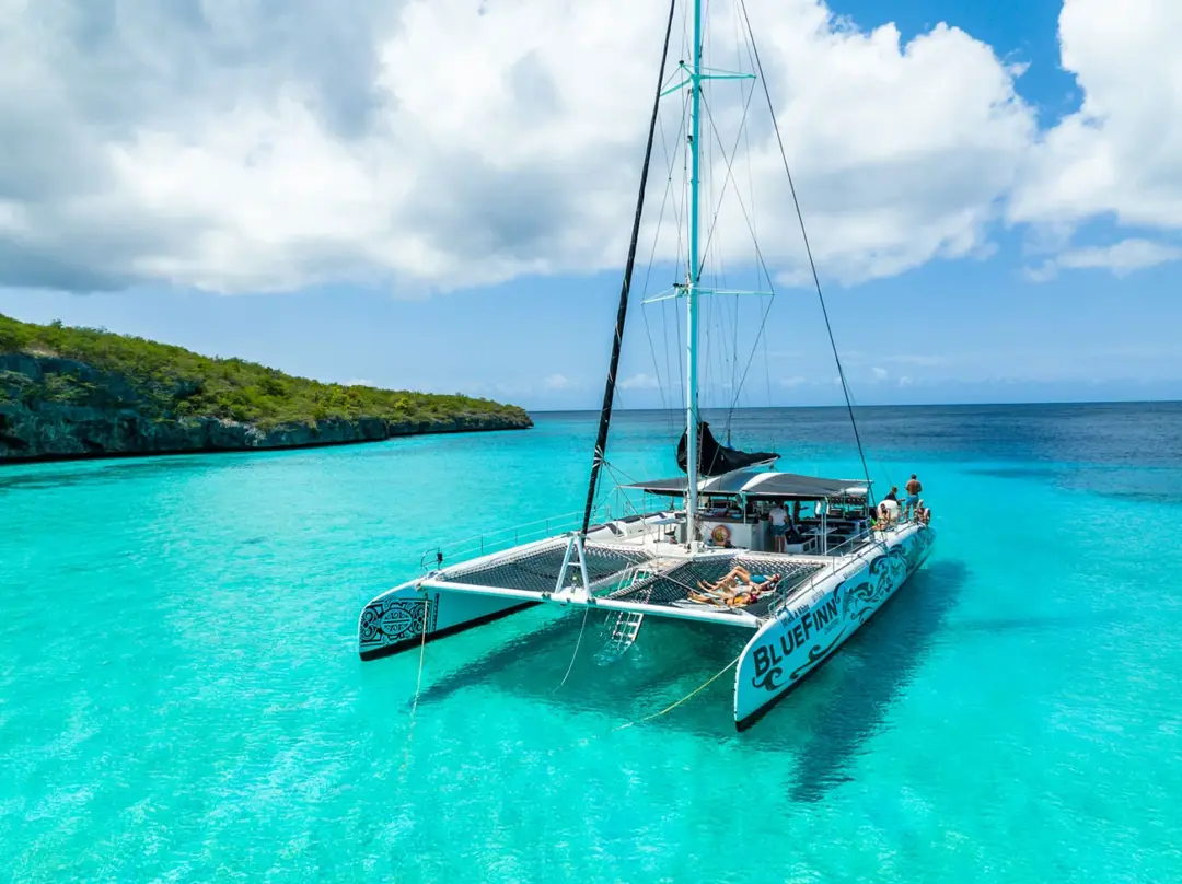 Blue_Finn_West_Coast_4