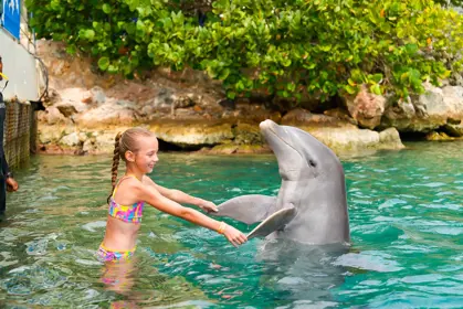 Dolphin_Ecounter_verkleind5