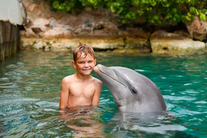 Dolphin_encounter4_verkleind