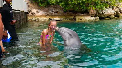 Dolphin_encounter_1_verkleind