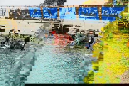 dolphin_encounter_verkleind