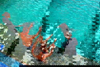 Dolphin_encounter_verkleind2