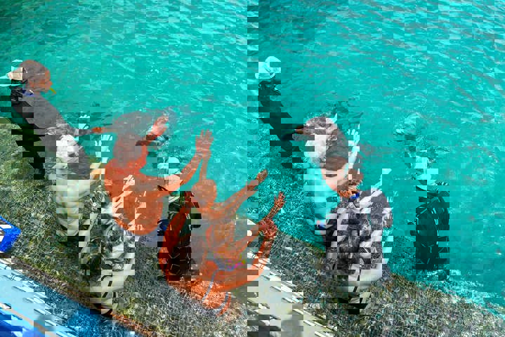 Dolphin_encounter_verkleind2