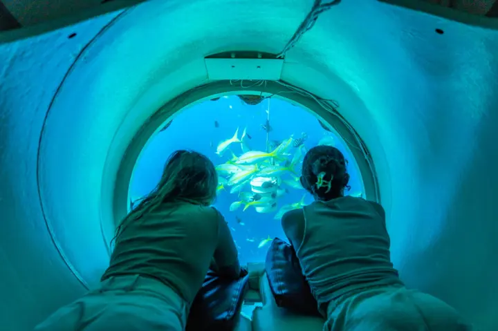 Excursão Guiada Ocean Lens | Curacao Sea Aquarium