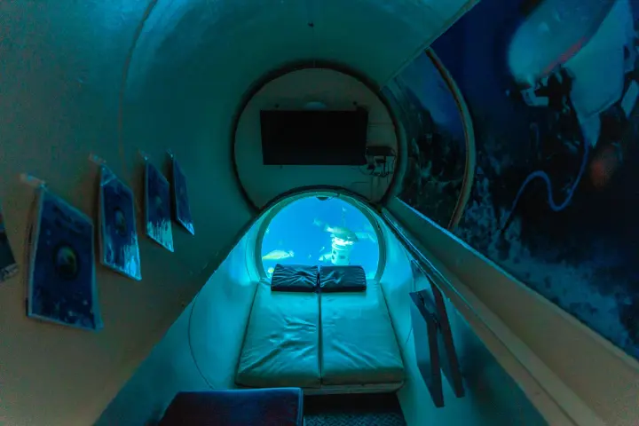 /book-tours/Dolphin-en-Sea-Aquarium/Ocean-Lens3.webp