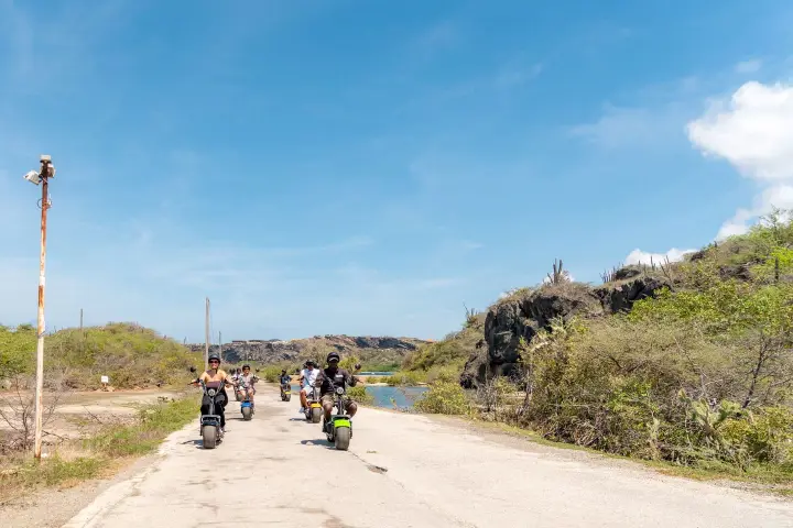 Eco-Cruise-19