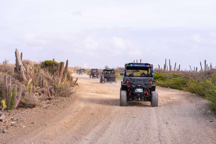 23_juli_2026-283