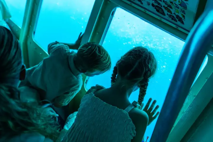 Seaworld6