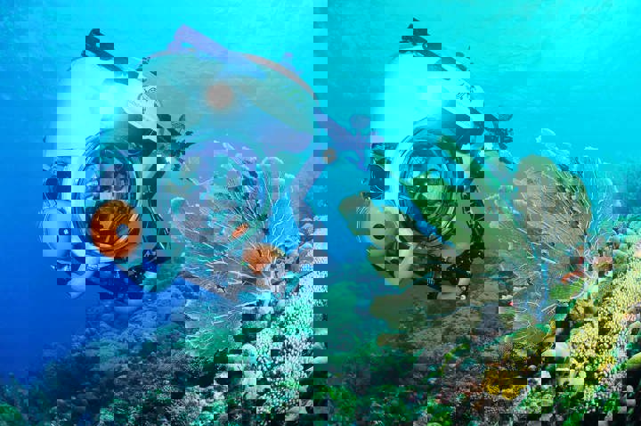  Mergulho em Naufrágio | Substation Curacao