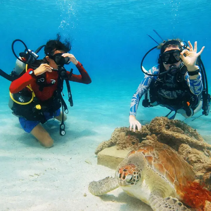 The-little-green-boat-dive-verkleind3