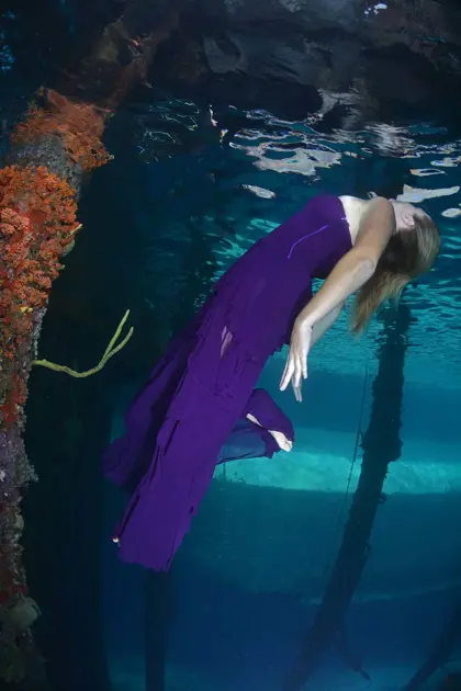 Turtle_Ray_Productions_(4)