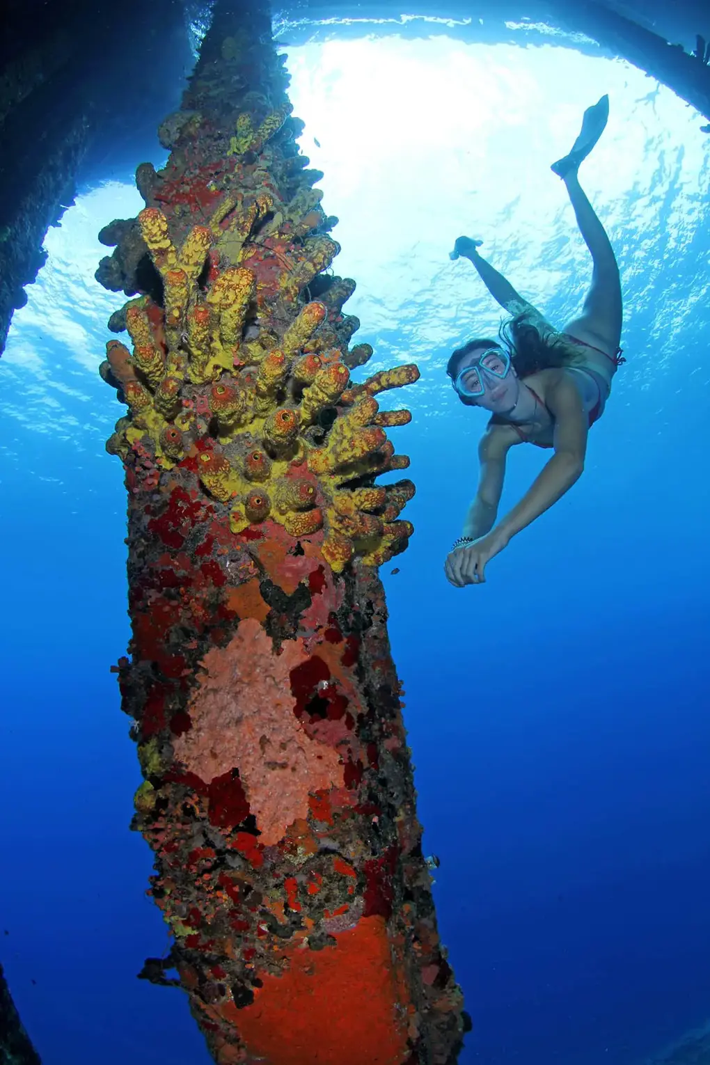 Turtle_Ray_Productions_(7)