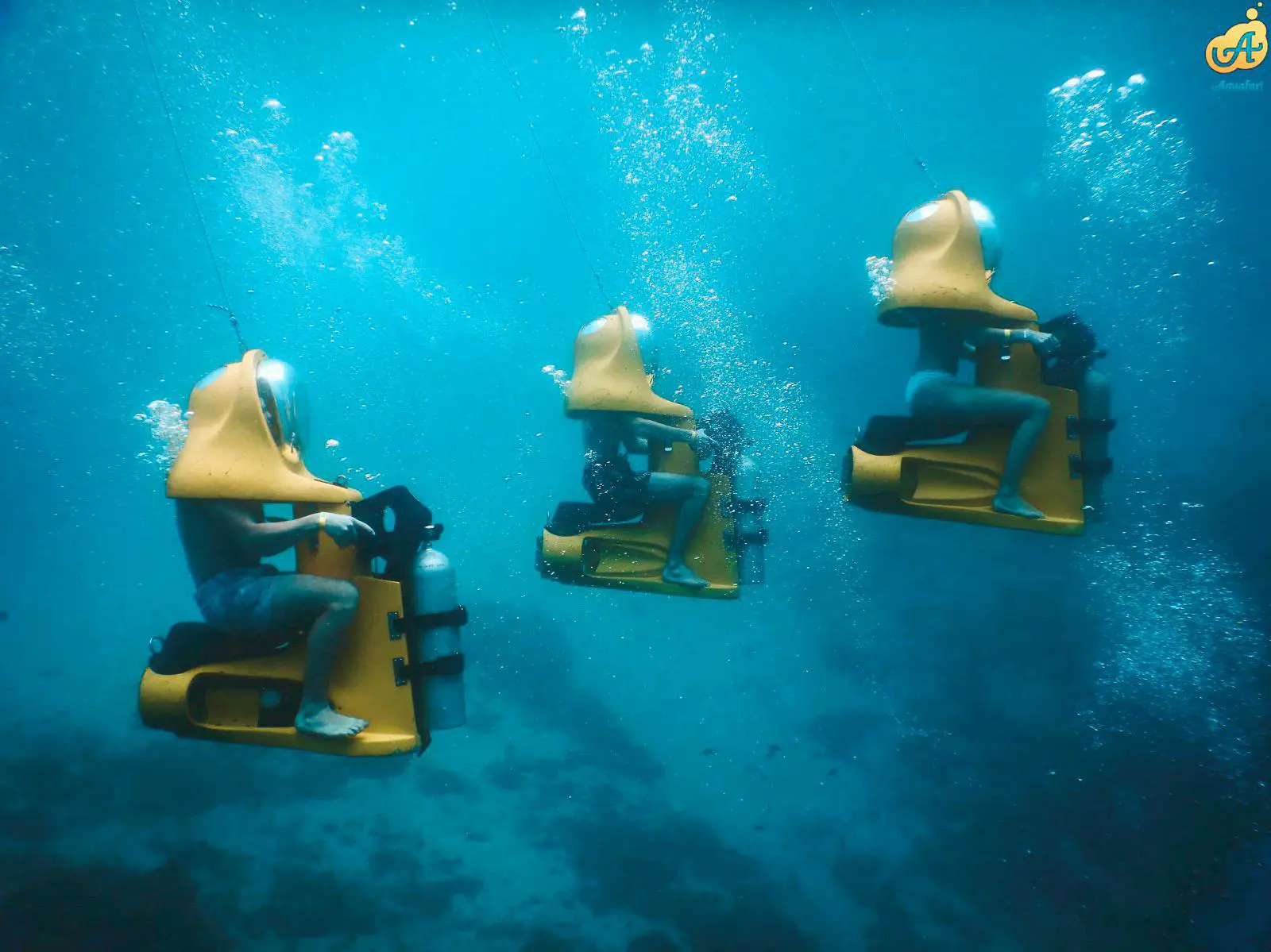 Aquafari-6.jpeg