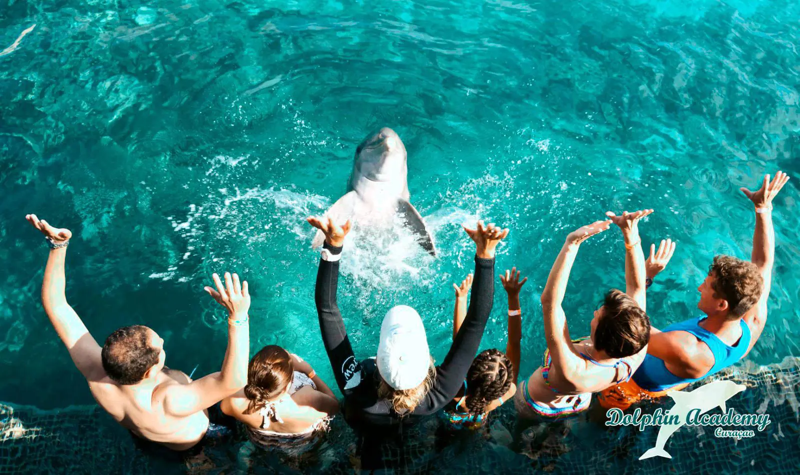 Dolphin-Encounter-2.jpeg