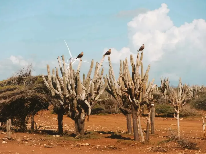 curacao activities jeep west tour