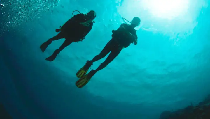 Scuba-Do-Refresh-Dive-3