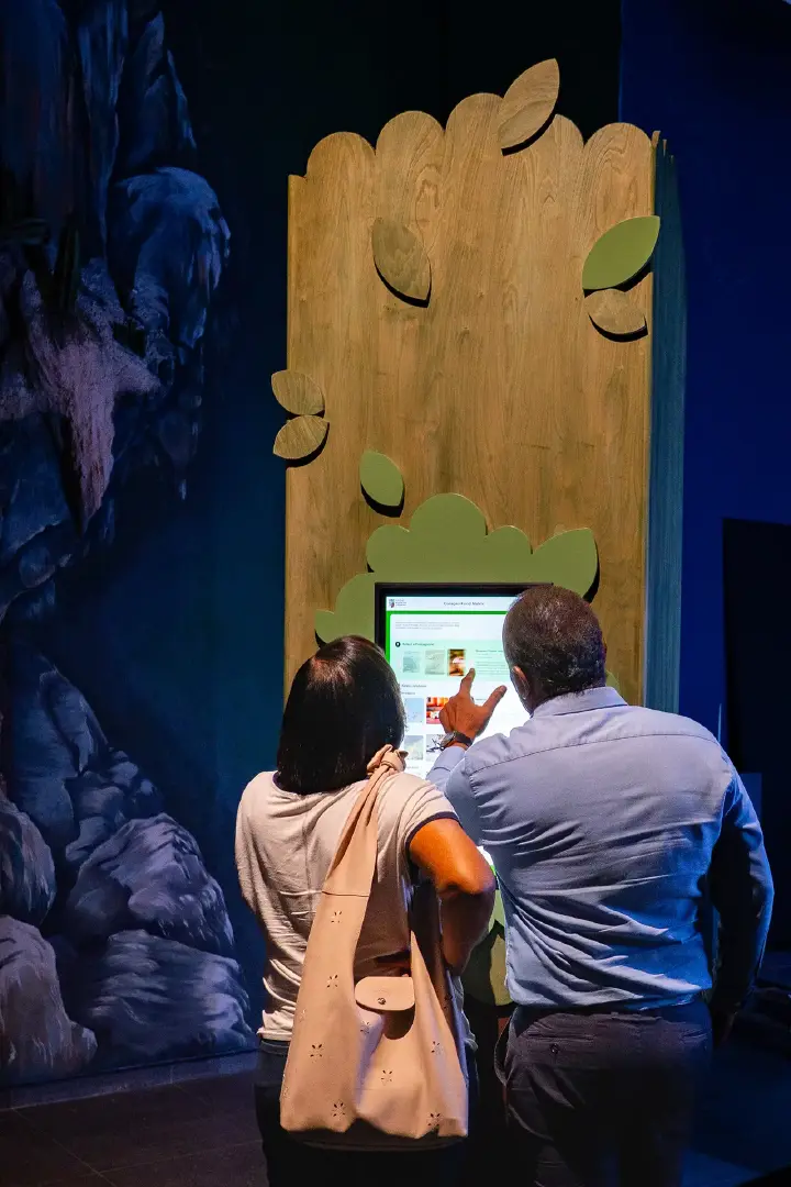 interactive-experience-verkleind6_kopie