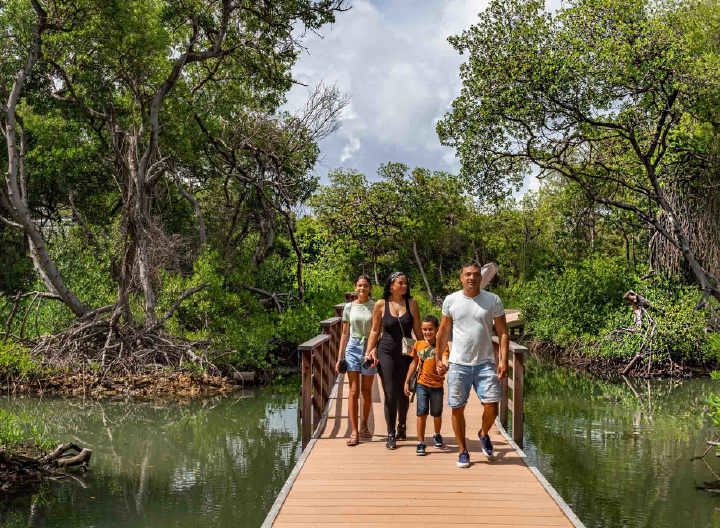 /clients/Rif-Mangrove-Park/Rif-Mangrove-1.jpg