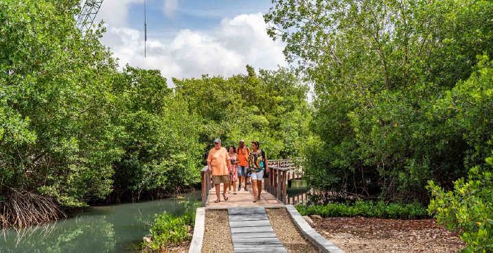 /clients/Rif-Mangrove-Park/Rif-Mangrove-5.jpg