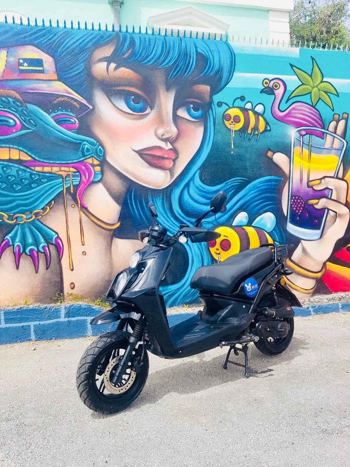 Excursão de Scooter Island Explorer